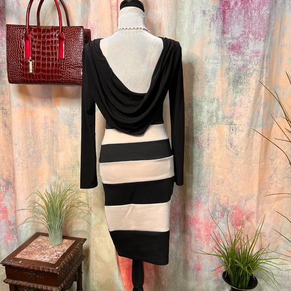 πTrixxi Bodycon Dress with Great Deep Waterfall Optic Neckline Backside! - Picture 3 of 14